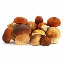 Грибы Белые целые отборные шляпка 1 - 5 см, 5 кг