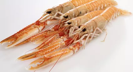 Креветки дикие